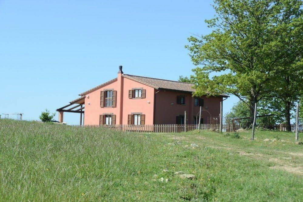 Colle Delle Meraviglie Fratticciola Selvatica 외부 사진